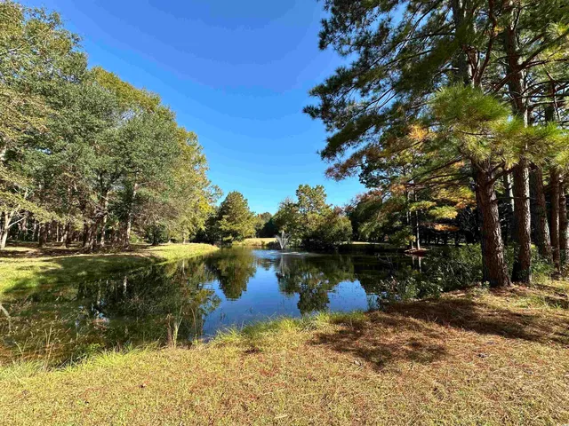 $1,500,000 | Tbd White Oak Drive, Manning, SC 29102