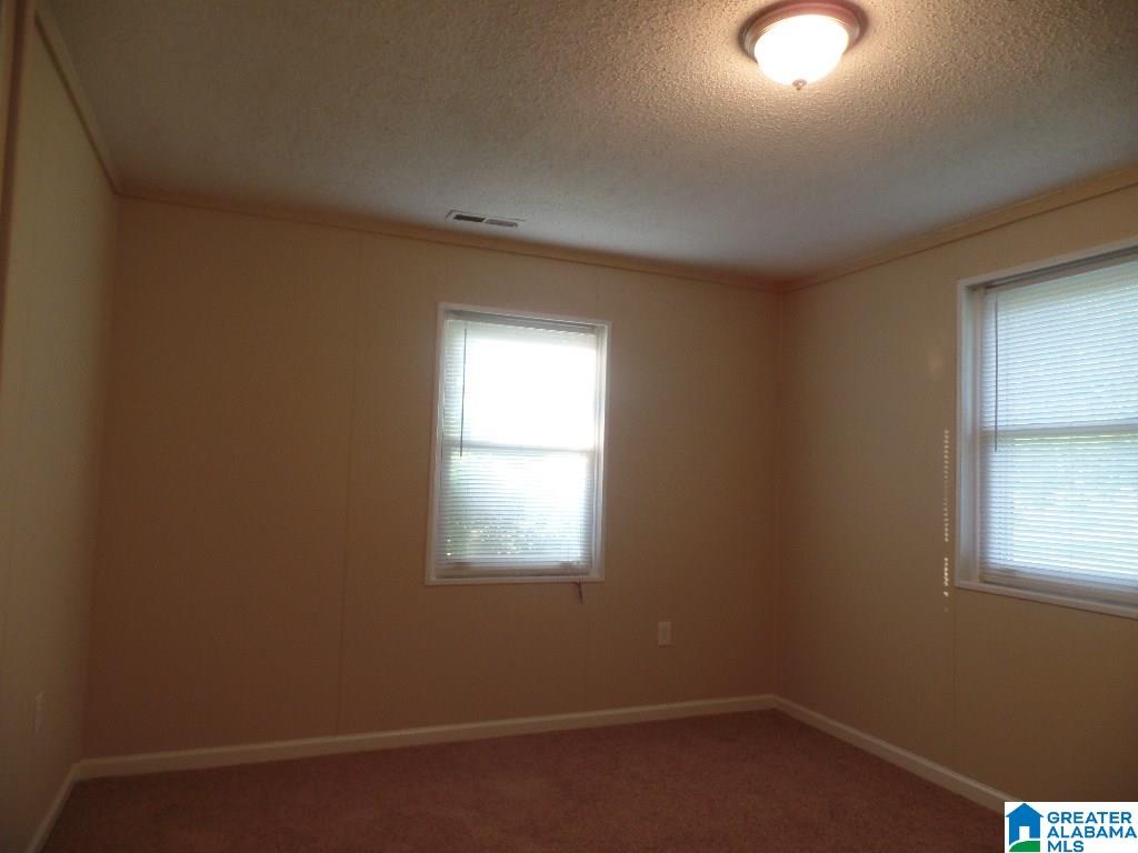 4420 Kelly Creek Road Odenville, AL 35120 - Photo 13 of 14