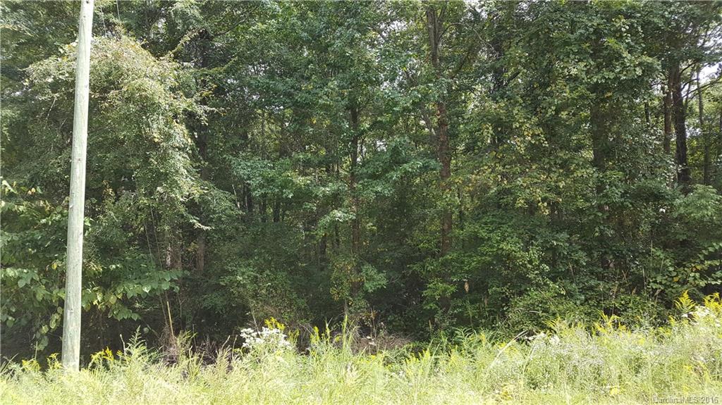 a view of a forest