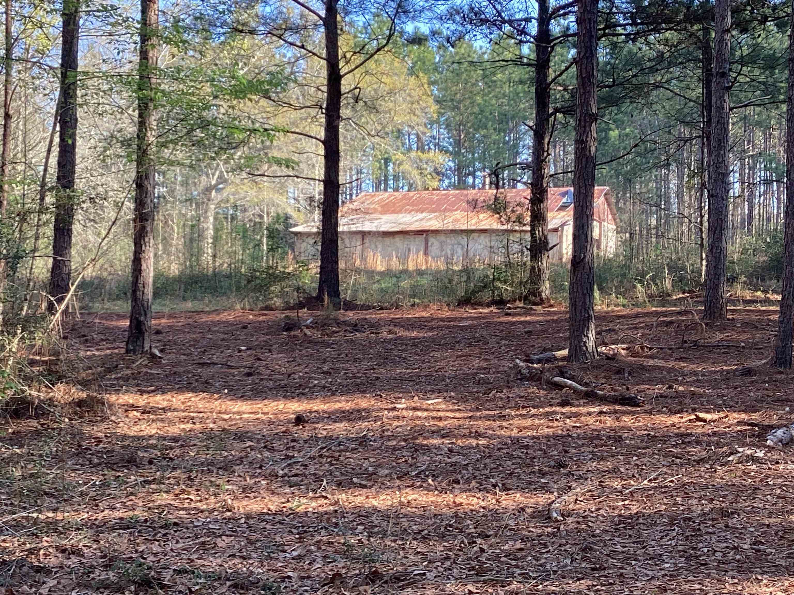 108 Carlisle Road Andalusia, AL 36421 - Photo 31 of 37 Gallery Image 31