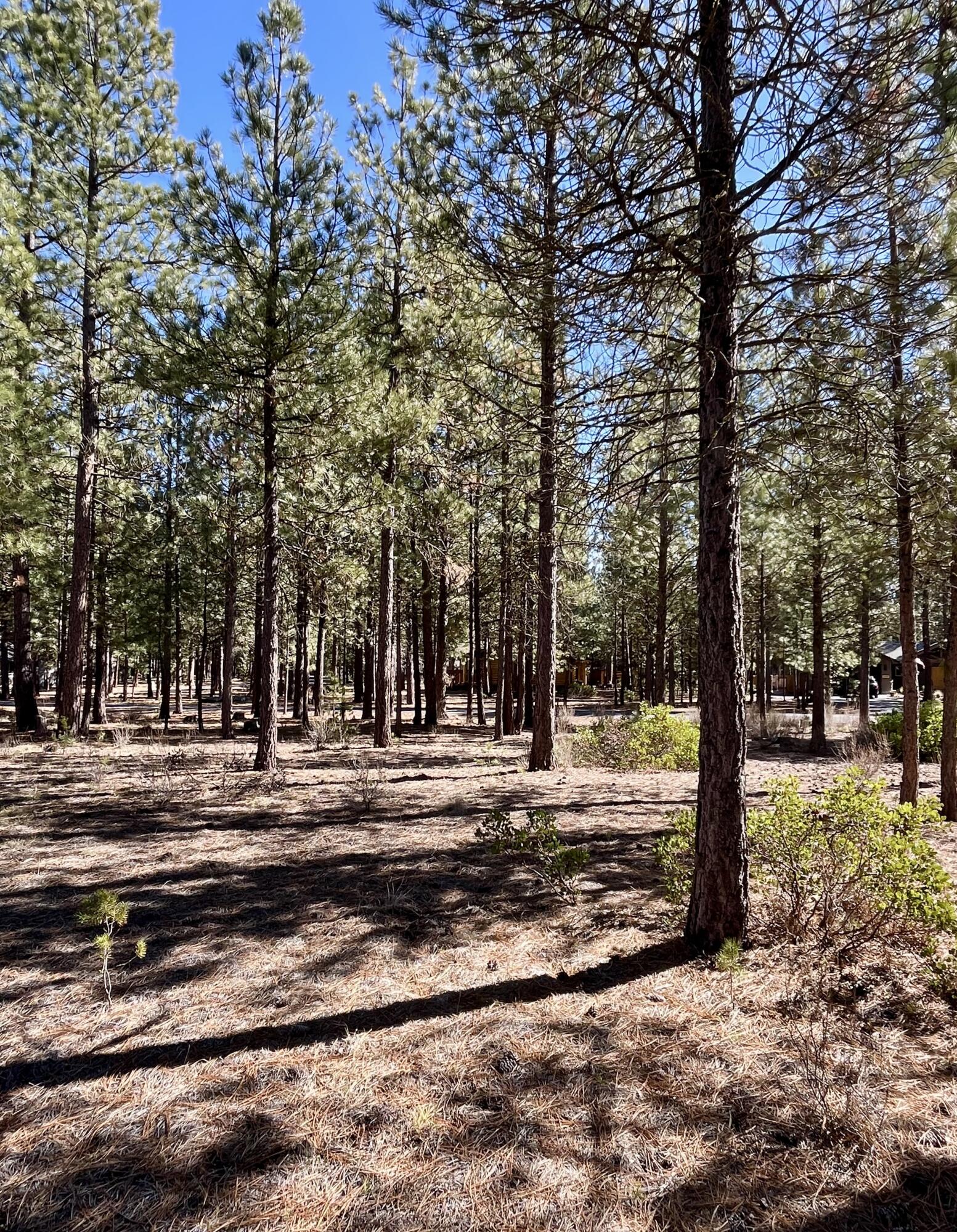 14171 Whitewater Loop La Pine, OR 97739 - Photo 9 of 16 14171-9