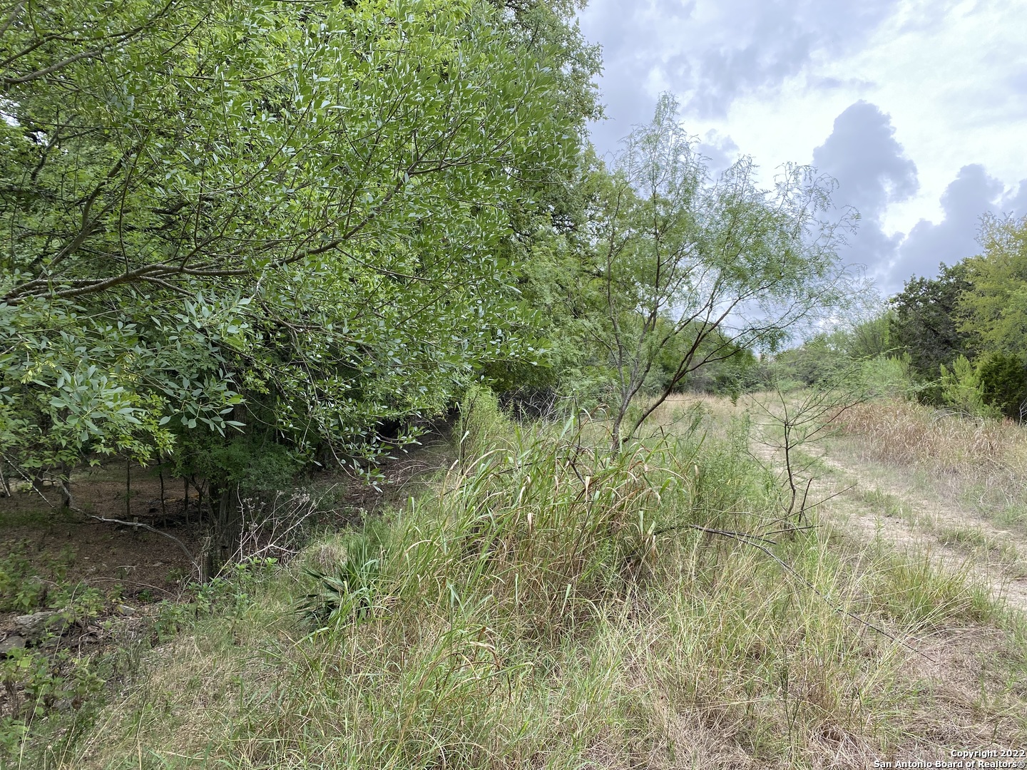 a view of a lake with green space