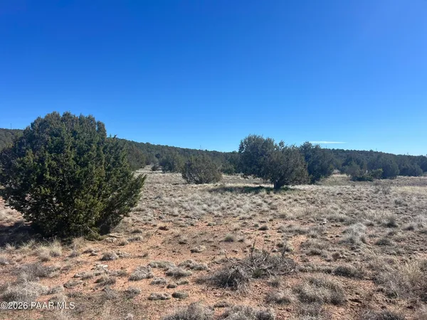$14,900 | 878 Fairview Drive, Williams, AZ 86046