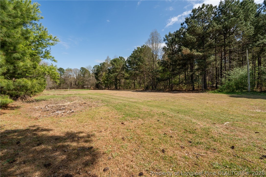 515 Mt Zion Road Red Springs, NC 28377 - Photo 43 of 50 a view of a field with trees in the background