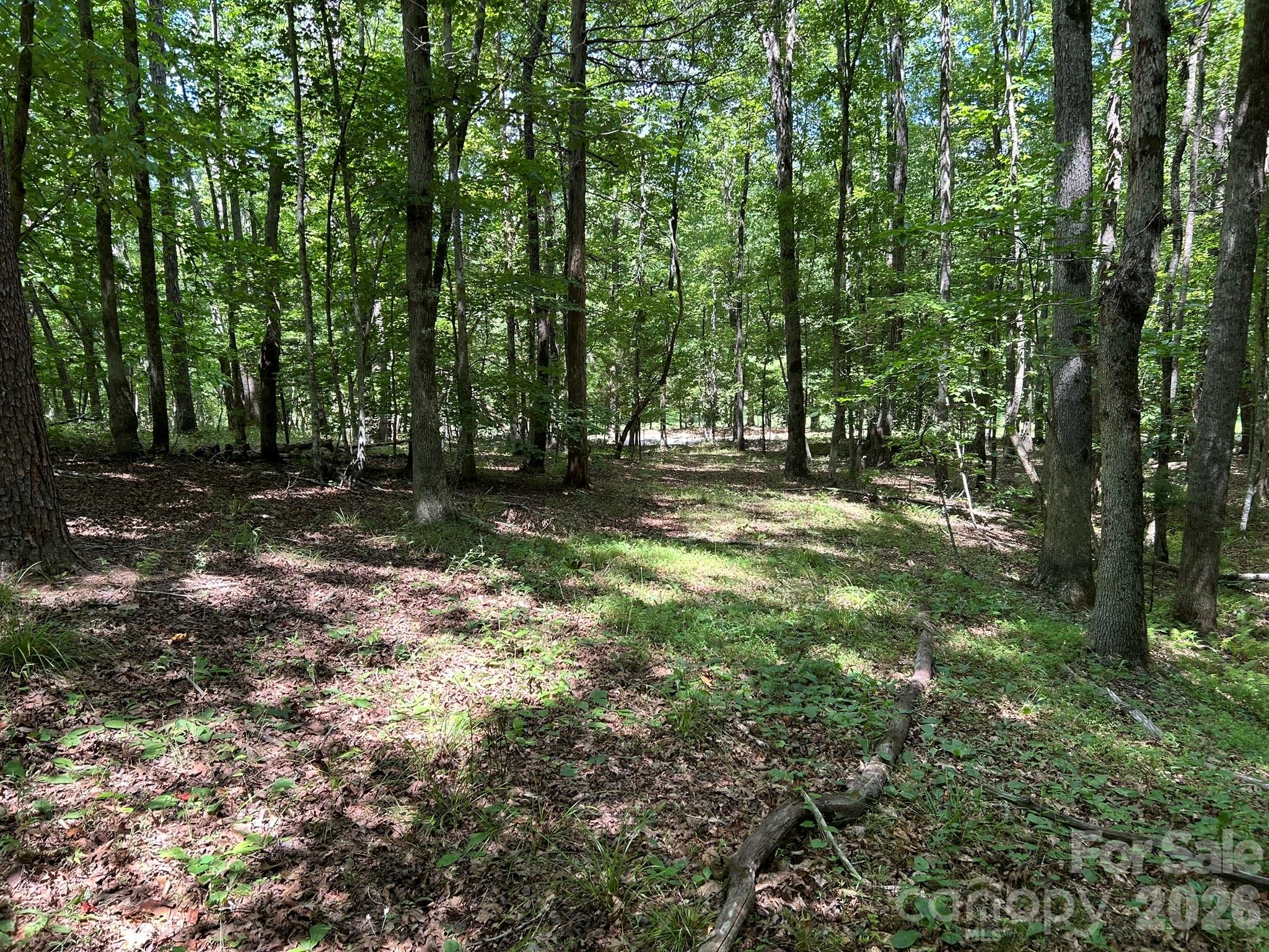 0 Wilderness Ridge, Unit 4 Rutherfordton, NC 28139 - Photo 5 of 11