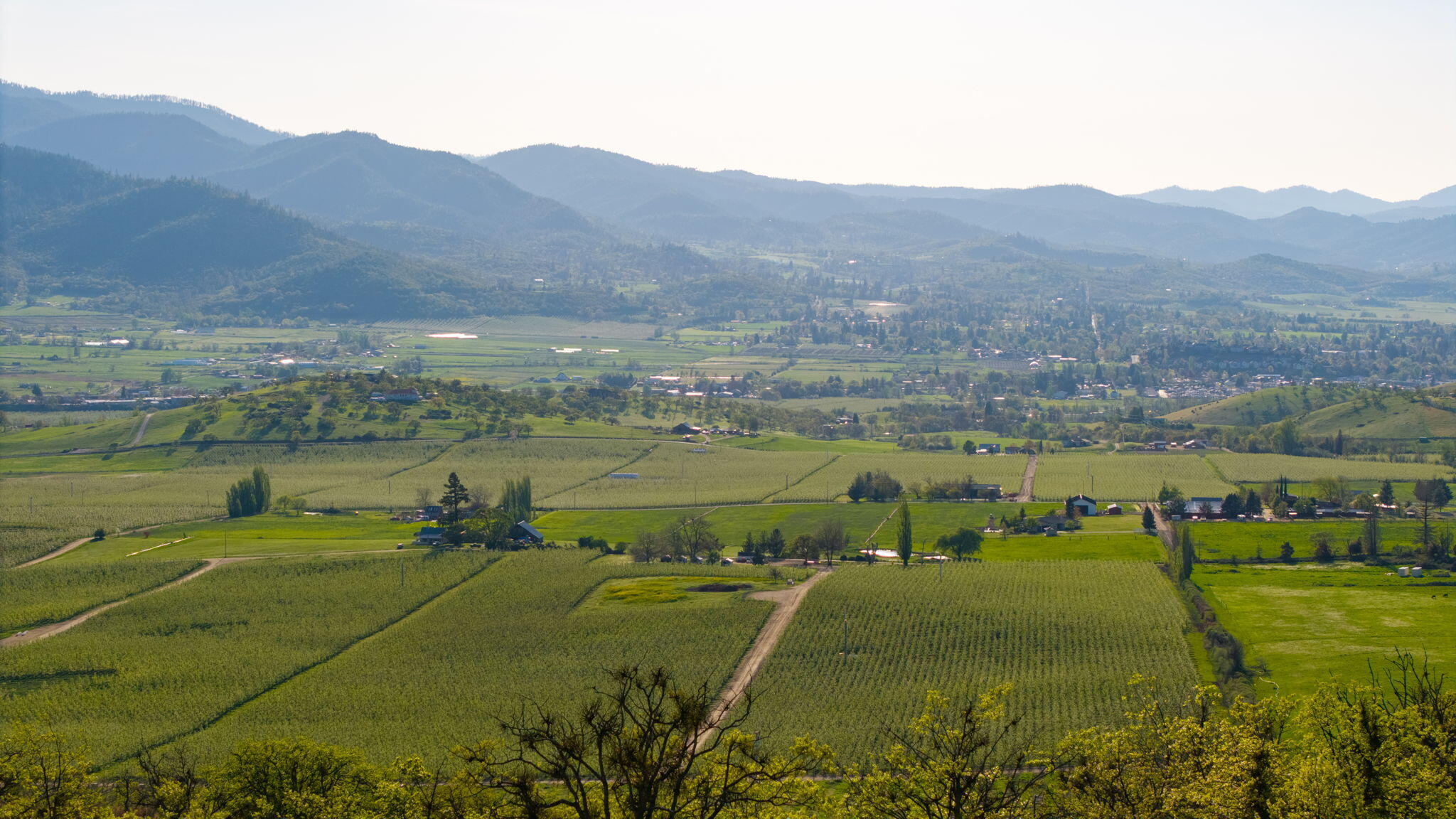 540 North Valley View Road Ashland, OR 97520 - Photo 8 of 19 AshlandLand