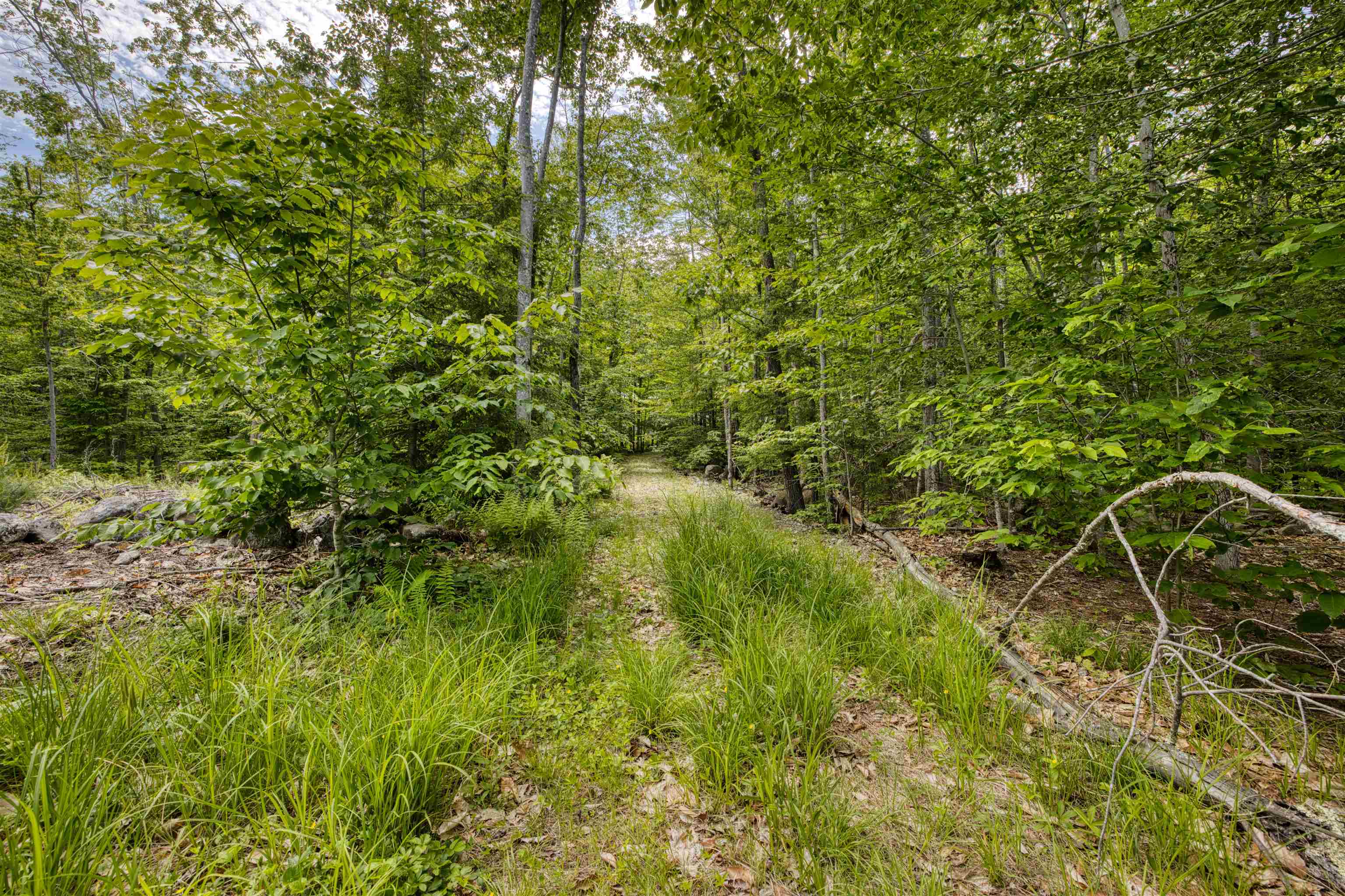 160 Browns Ridge Road Ossipee, NH 03864 - Photo 53 of 59