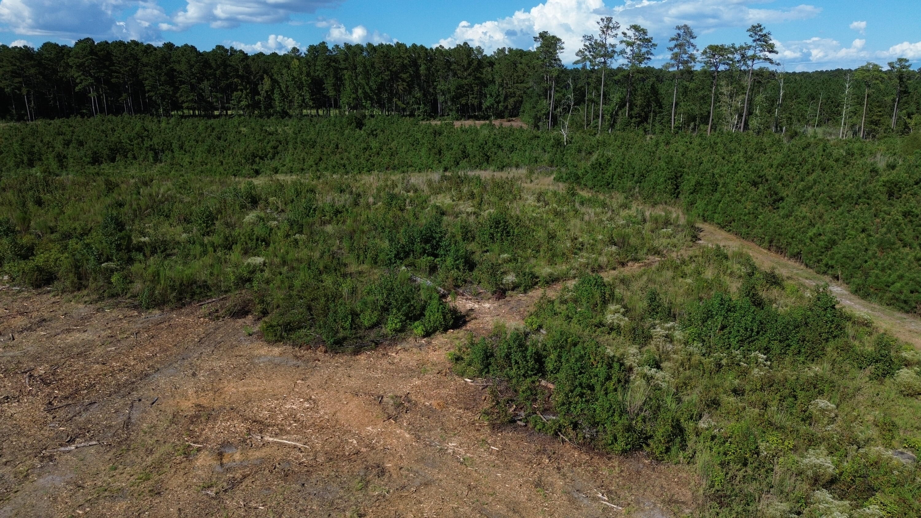 3 Bethel Forest Road Rowesville, SC 29133 - Photo 19 of 33 DJI_0162