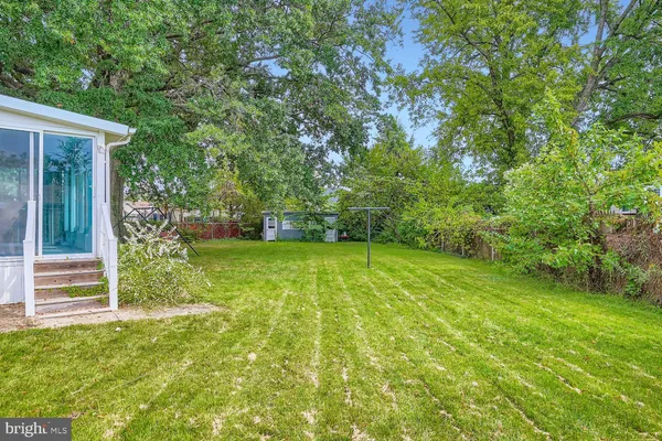 a view of a backyard with large trees