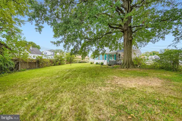 a view of a field with a tree
