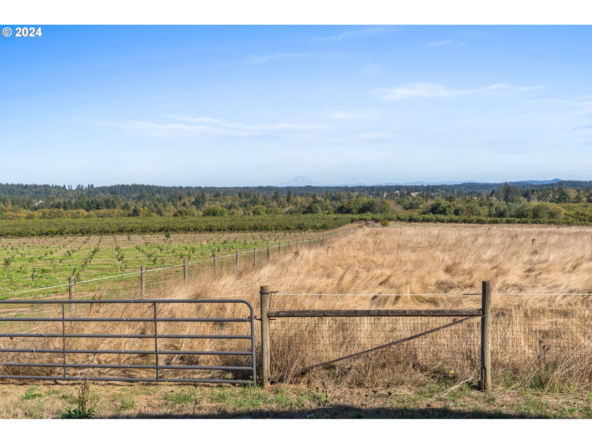 10695 South Bremer Road Canby, OR 97013 - Photo 36 of 44 a view of outdoor space with city view