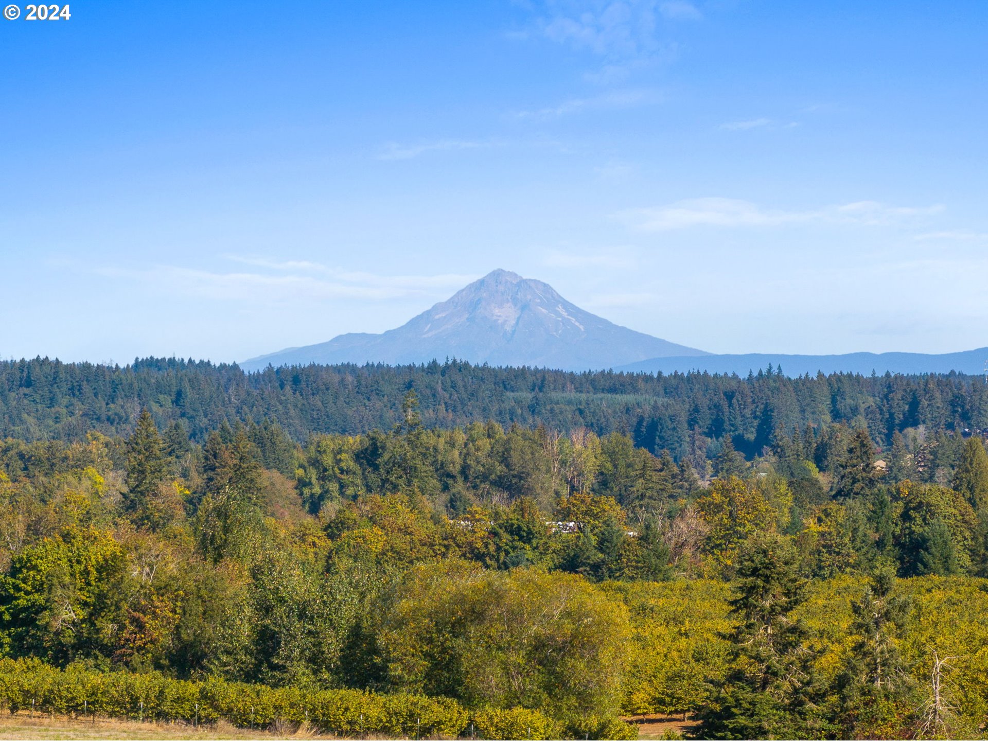 10695 South Bremer Road Canby, OR 97013 - Photo 44 of 44 a view of lake with mountain