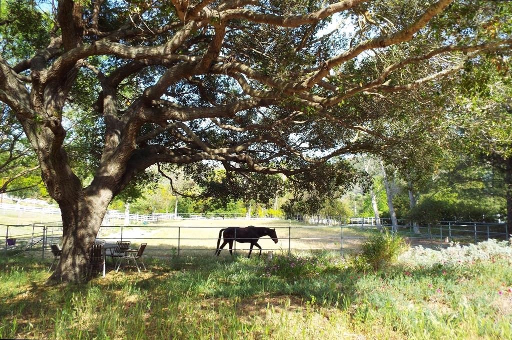 3355 Old Post Road Fallbrook, CA 92028 - Photo 24 of 25