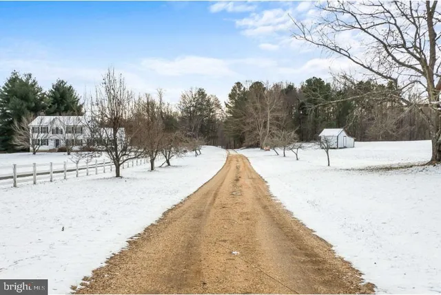 a view of a street with trees in the background
