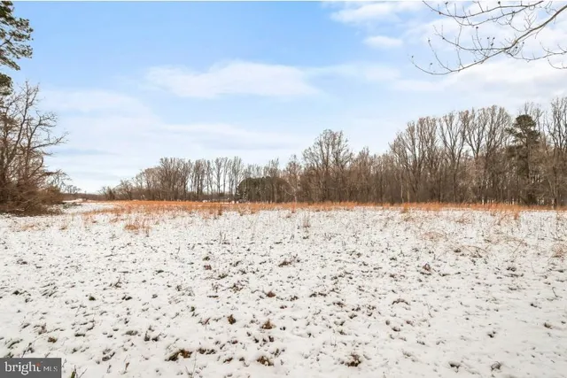 a view of yard covered with snow