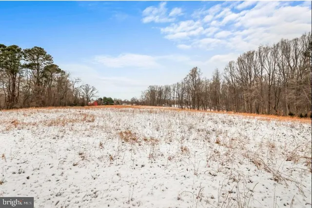 a view of yard covered with snow in the background