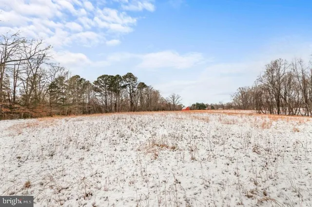 a view of yard covered with snow in the background