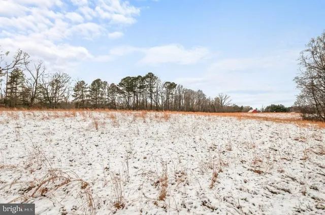 a view of yard and ocean view