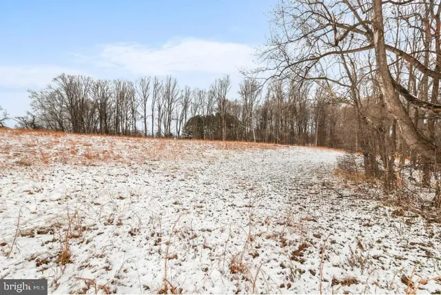 a street view with yard
