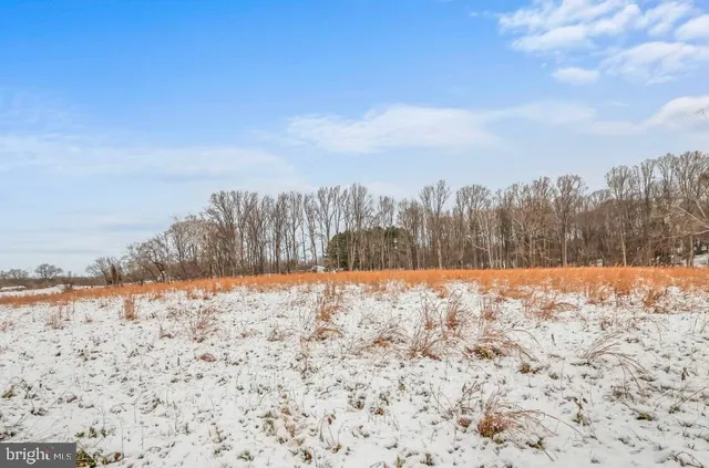 a view of yard covered with snow in outdoor space