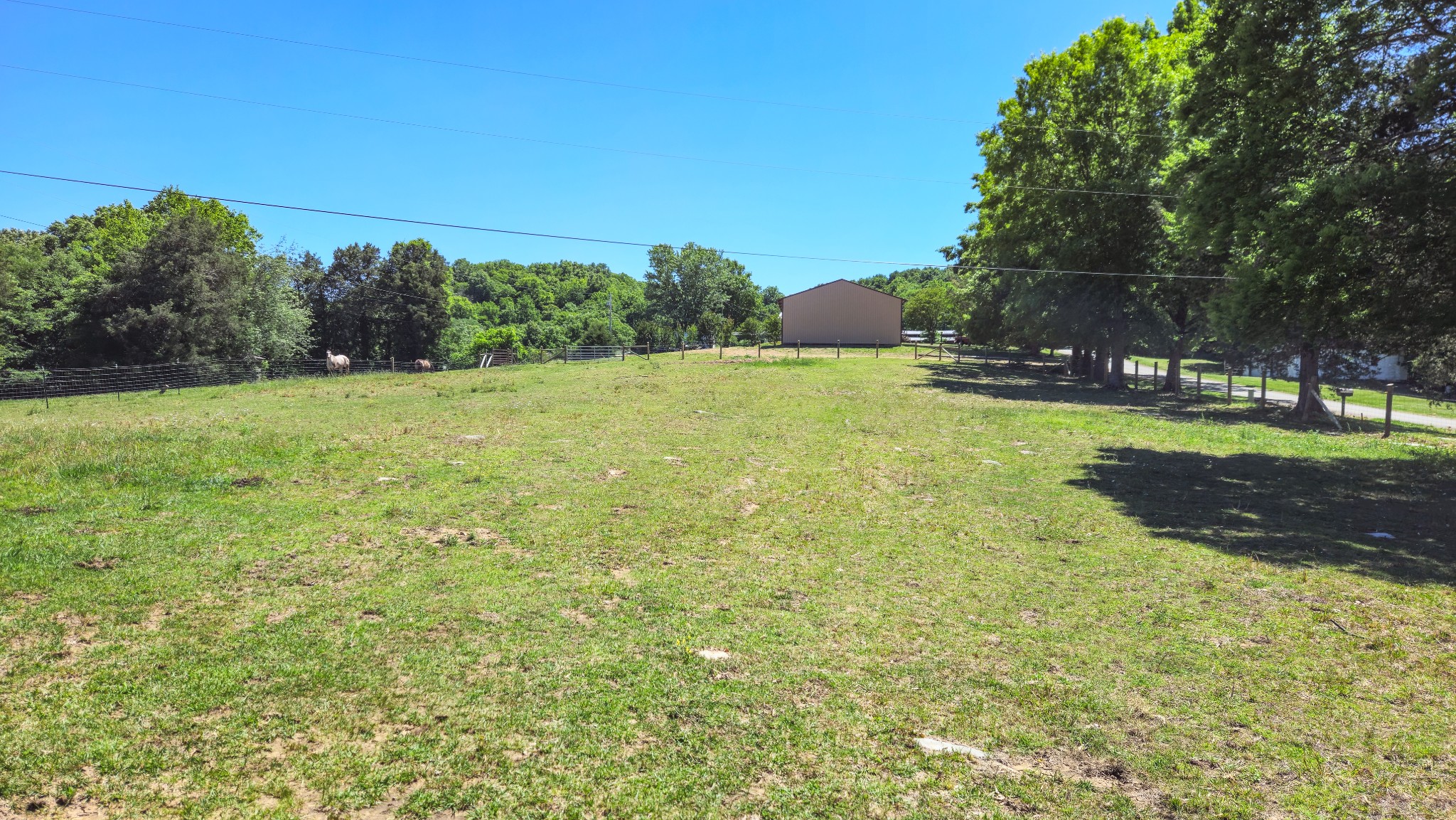 789 Holt Hollow Road Prospect, TN 38477 - Photo 47 of 69