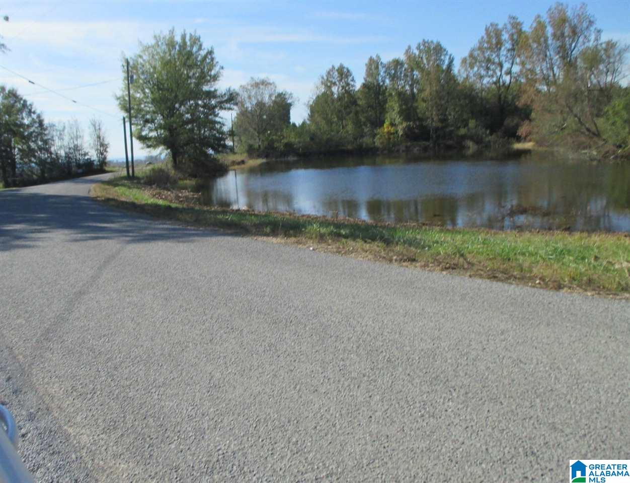 1161 Mardis Mill Road Blountsville, AL 35031 - Photo 32 of 33