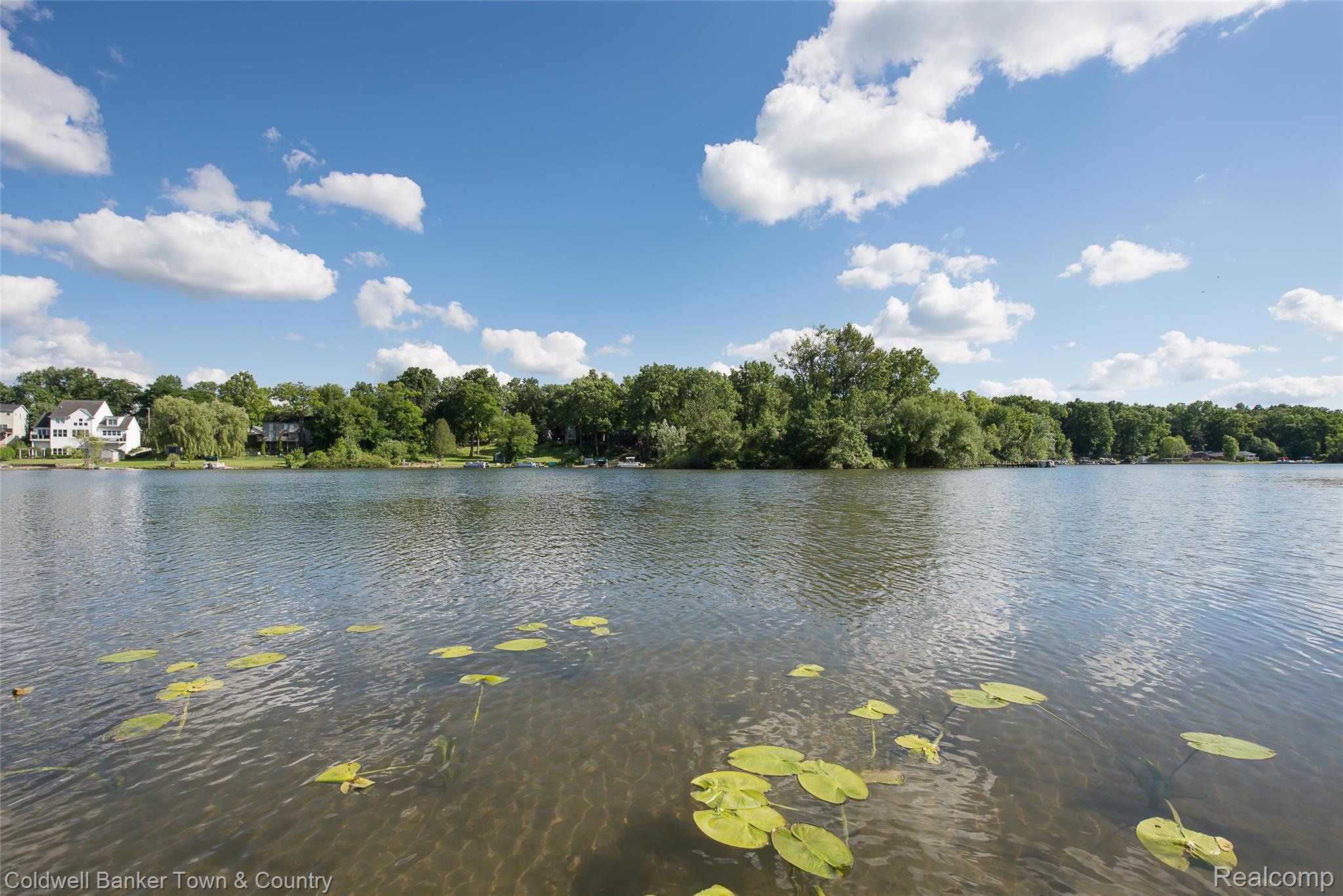 11634 Island Court Hartland, MI 48353 - Photo 10 of 56 DSC_9866.jpg
