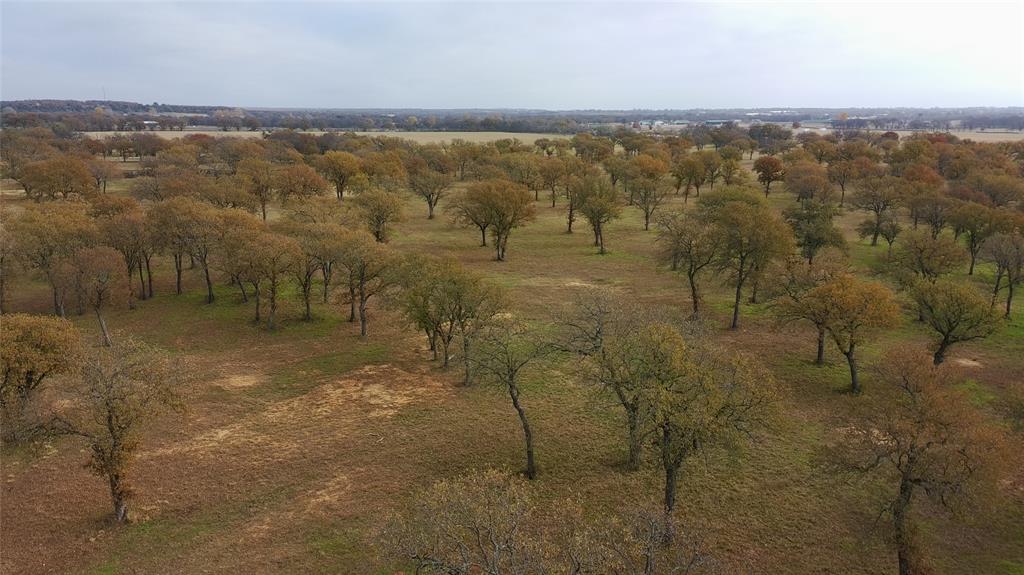 1551 Wilson Bend Road Millsap, TX 76066 - Photo 5 of 22 a view of lake view and mountain