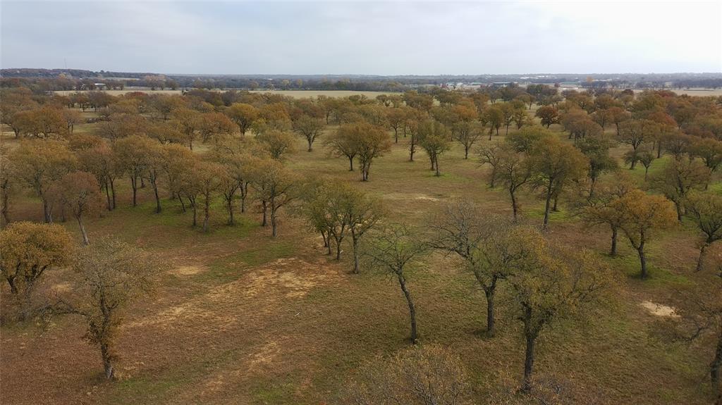 1551 Wilson Bend Road Millsap, TX 76066 - Photo 8 of 22 a view of lake with mountain
