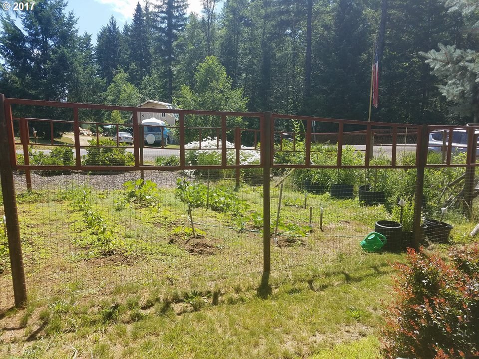 51 Heslen Road Carson, WA 98610 - Photo 19 of 19 Gallery Image 19