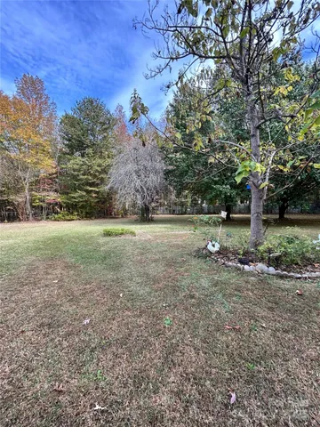 a view of a field with trees