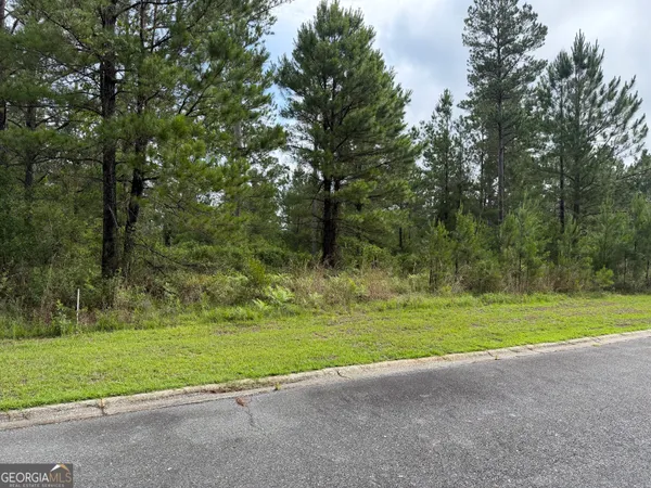 $17,000 | 59 Big Horse Drive, Waynesville, GA 31566