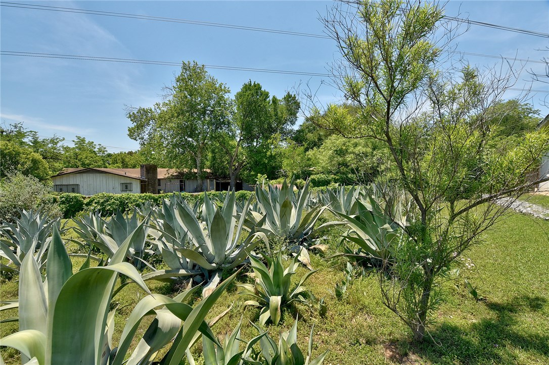 4804 Menchaca Road Austin, TX 78745 - Photo 21 of 38 Yard