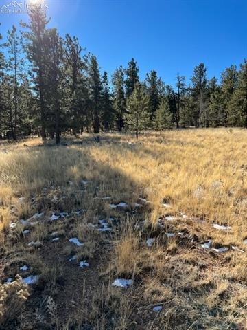 185 Haystack Road Hartsel, CO 80449 - Photo 13 of 15 Gallery Image 13