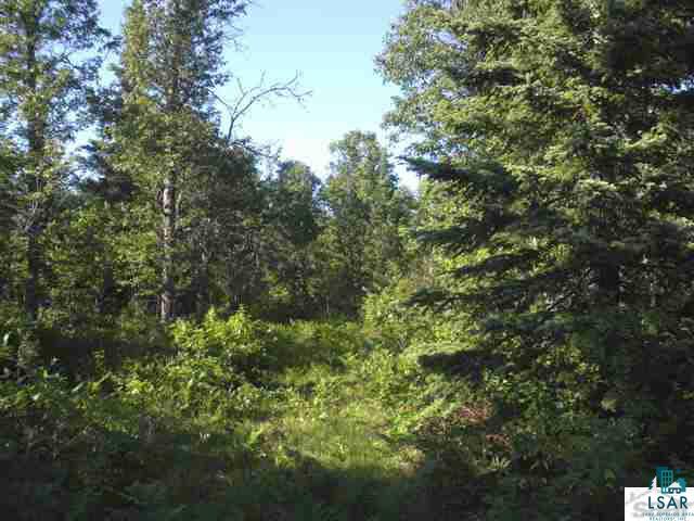 Xxx Battle Axe Road Iron River, WI 54847 - Photo 1 of 4 Gallery Image 1