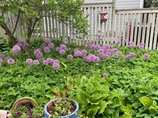 $435,000 | 5441 Ridgeway Street, St. Paul, MN 55110