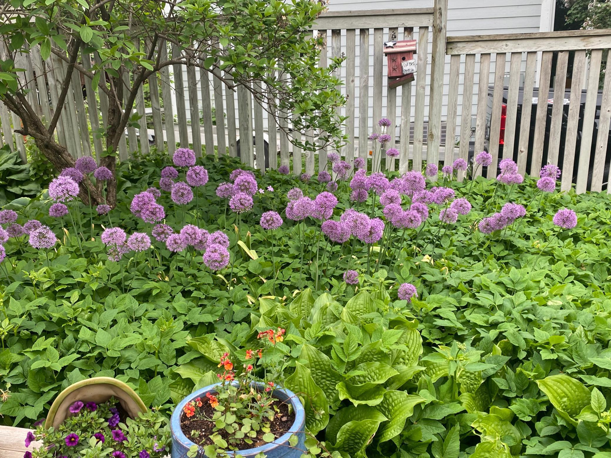 5441 Ridgeway Street St. Paul, MN 55110 - Photo 67 of 76