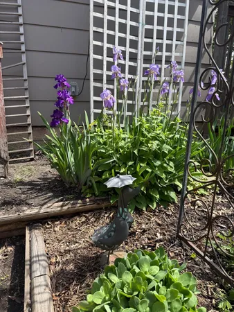 $435,000 | 5441 Ridgeway Street, St. Paul, MN 55110