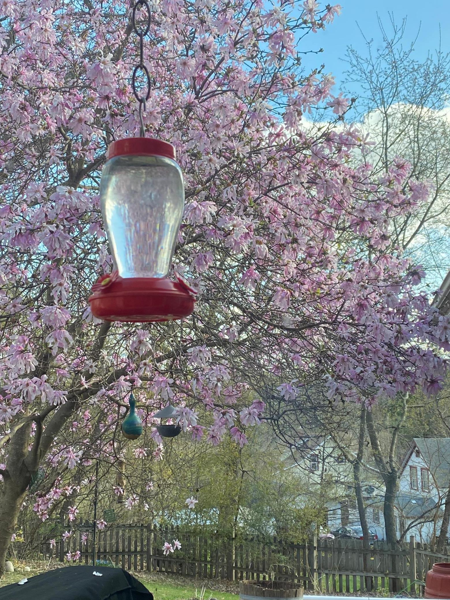 5441 Ridgeway Street St. Paul, MN 55110 - Photo 70 of 76