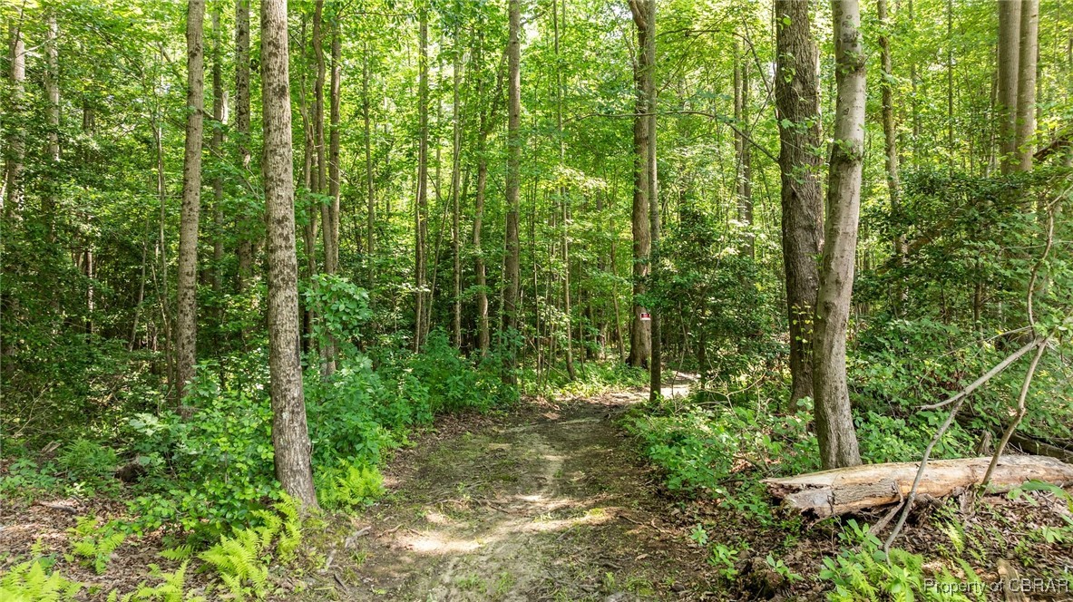 34 Acres Windsor Road North, VA 23128 - Photo 10 of 33
