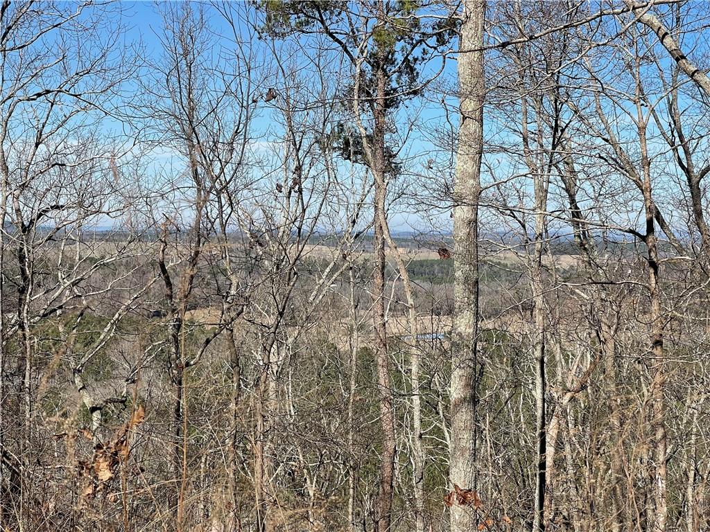 A Johnson Lake Road, Unit 0A Cedartown, GA 30125 - Photo 3 of 19 a backyard of a house with lots of green space