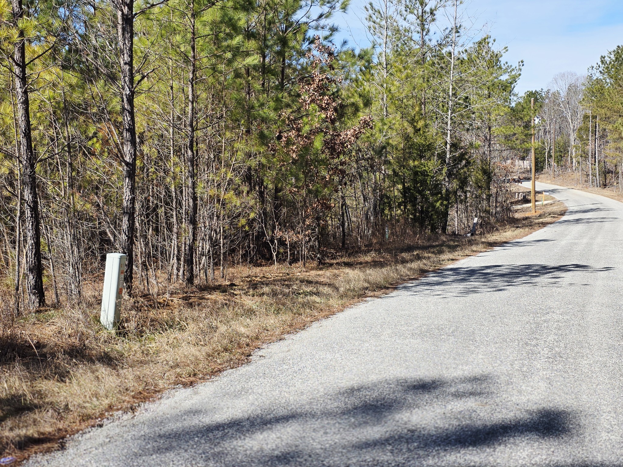 a view of dirt yard with a large tree