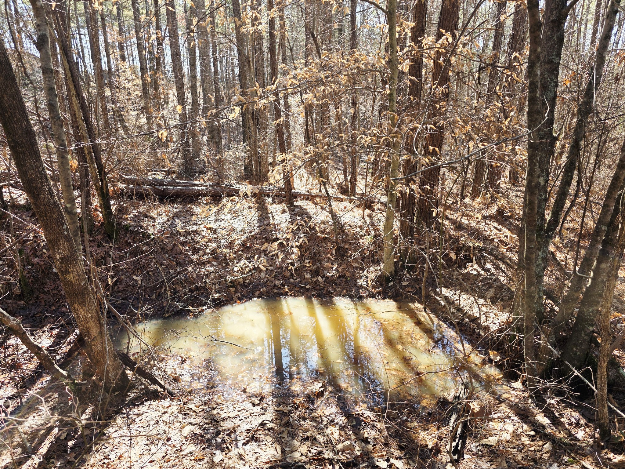 0 Allen Mill Bridge Road Camden, TN 38320 - Photo 24 of 32 a view of lake