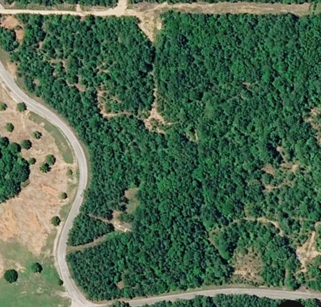 0 Allen Mill Bridge Road Camden, TN 38320 - Photo 30 of 32 an aerial view of a house with a yard and outdoor seating