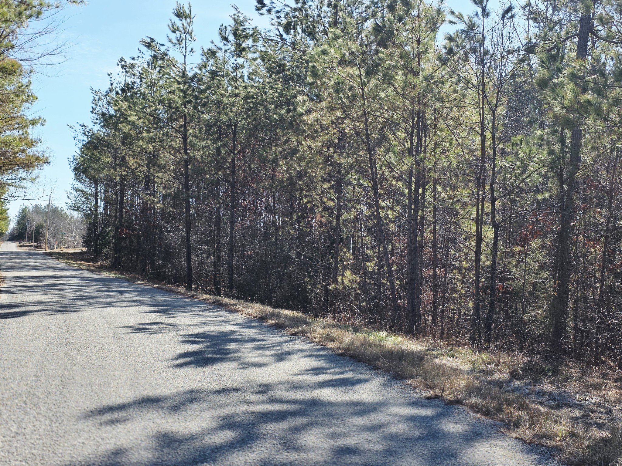 0 Allen Mill Bridge Road Camden, TN 38320 - Photo 3 of 32 a view of a yard with large trees