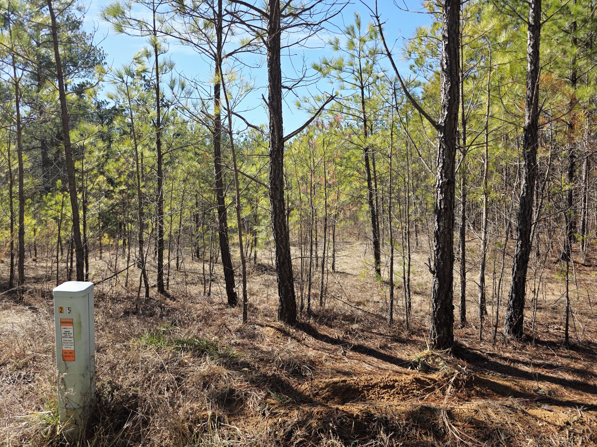 0 Allen Mill Bridge Road Camden, TN 38320 - Photo 5 of 32 a backyard of a house with lots of green space