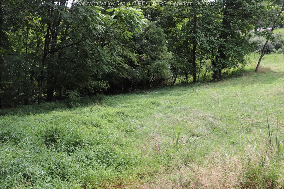 2254 Vineyard Ridge Walton, WV 25286 - Photo 21 of 35 Gallery Image 21