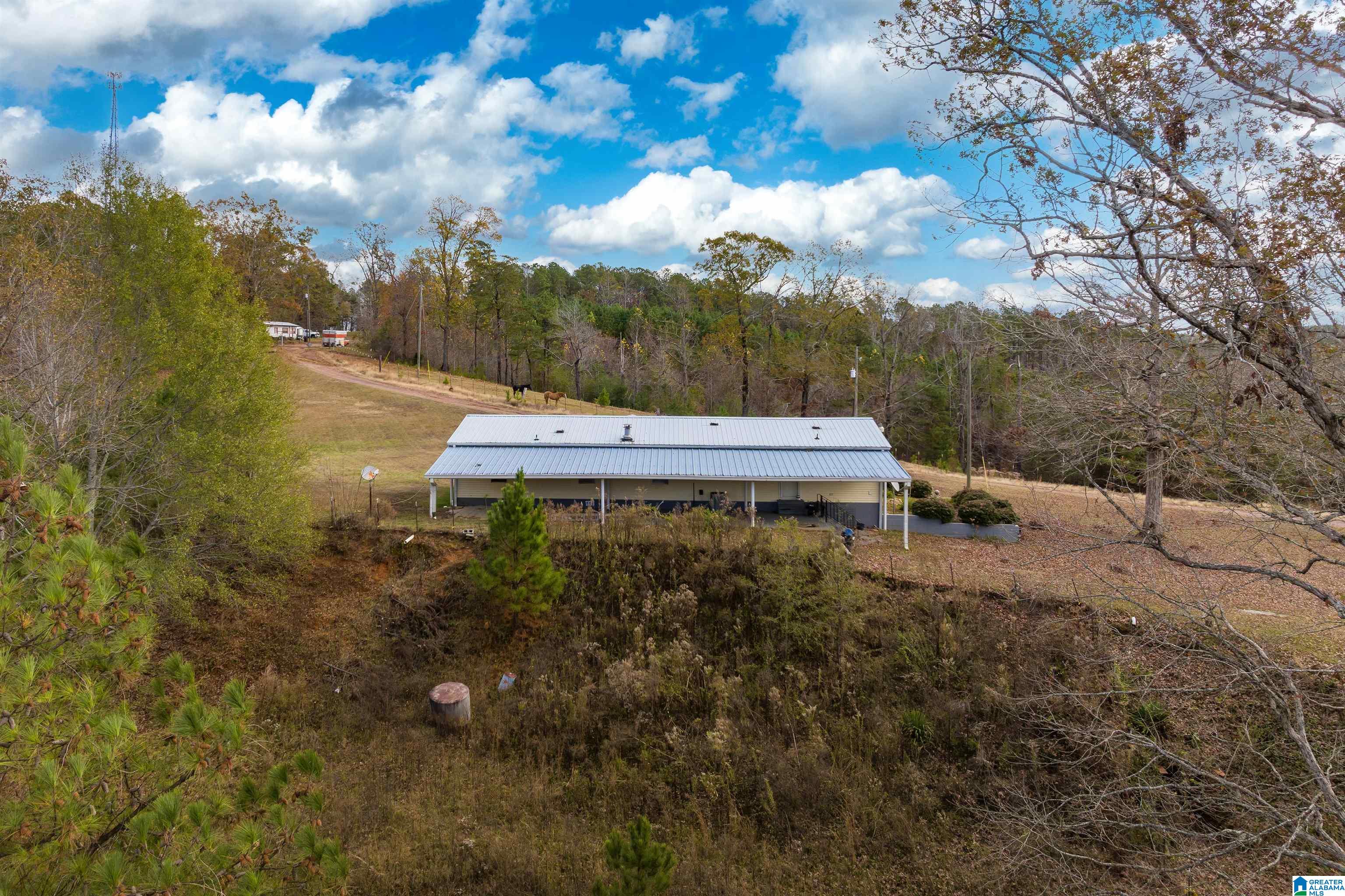 2930 Pridmore Road Quinton, AL 35130 - Photo 45 of 46