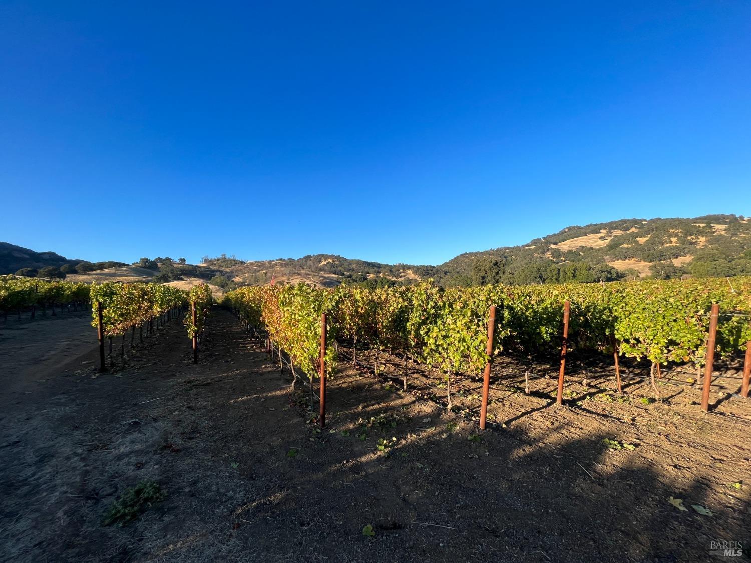 4060 Monticello Road Napa, CA 94558 - Photo 37 of 54