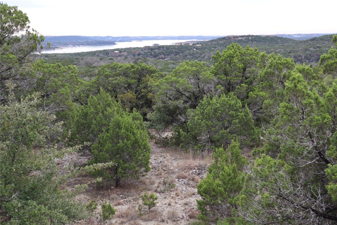 0 West Reed Park Road Jonestown, TX 78645 - Photo 1 of 1 Gallery Image 1